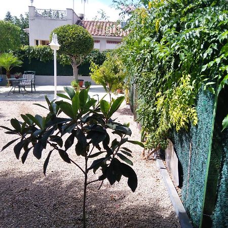 Casa Verdeesvida Bellvei del Penedes Экстерьер фото