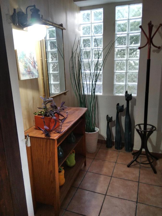 Casa Verdeesvida Bellvei del Penedes Экстерьер фото